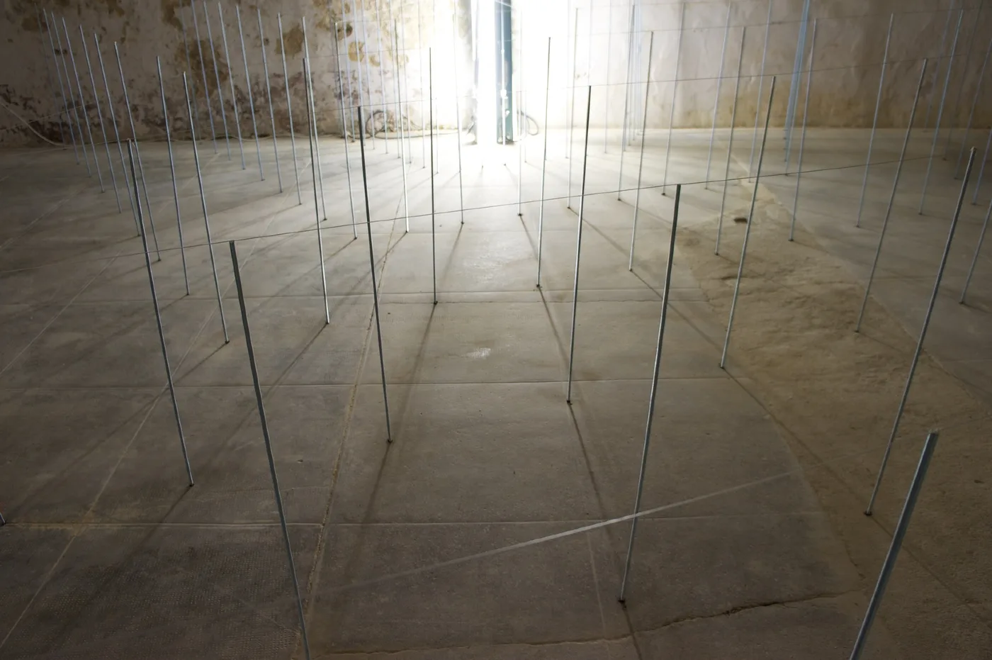 Arena, artwork by Flavio Cury, image 2